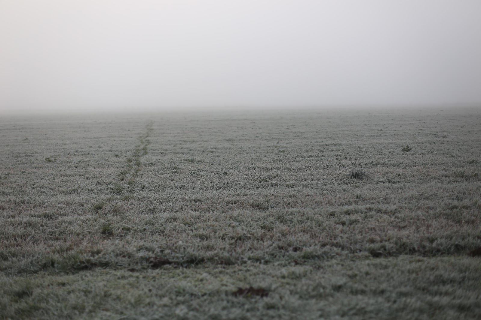 A frost covered field
