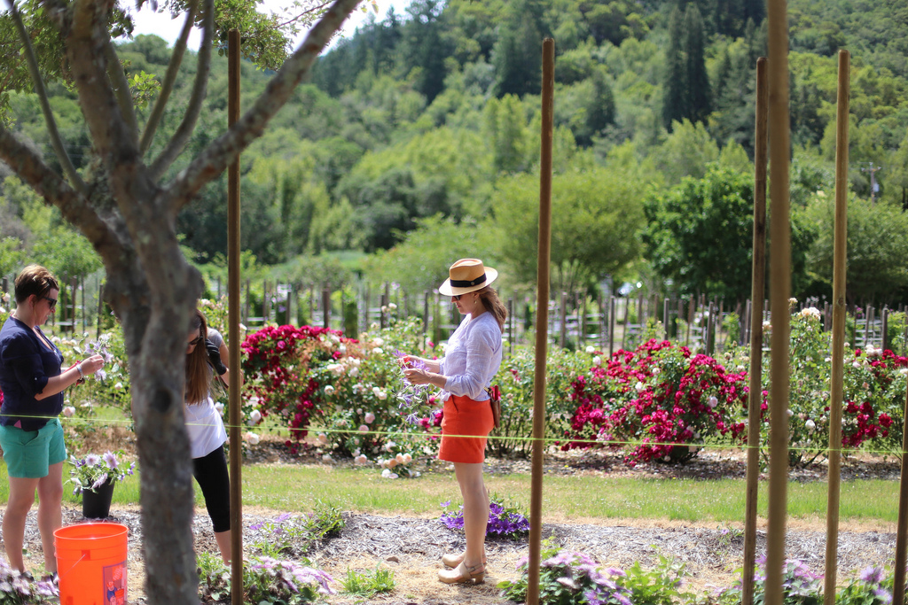 Ariella Chezar in the garden