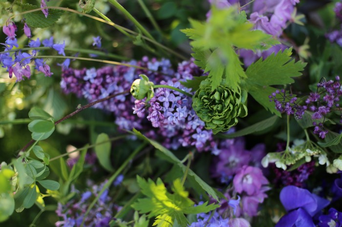 lilac bouquet