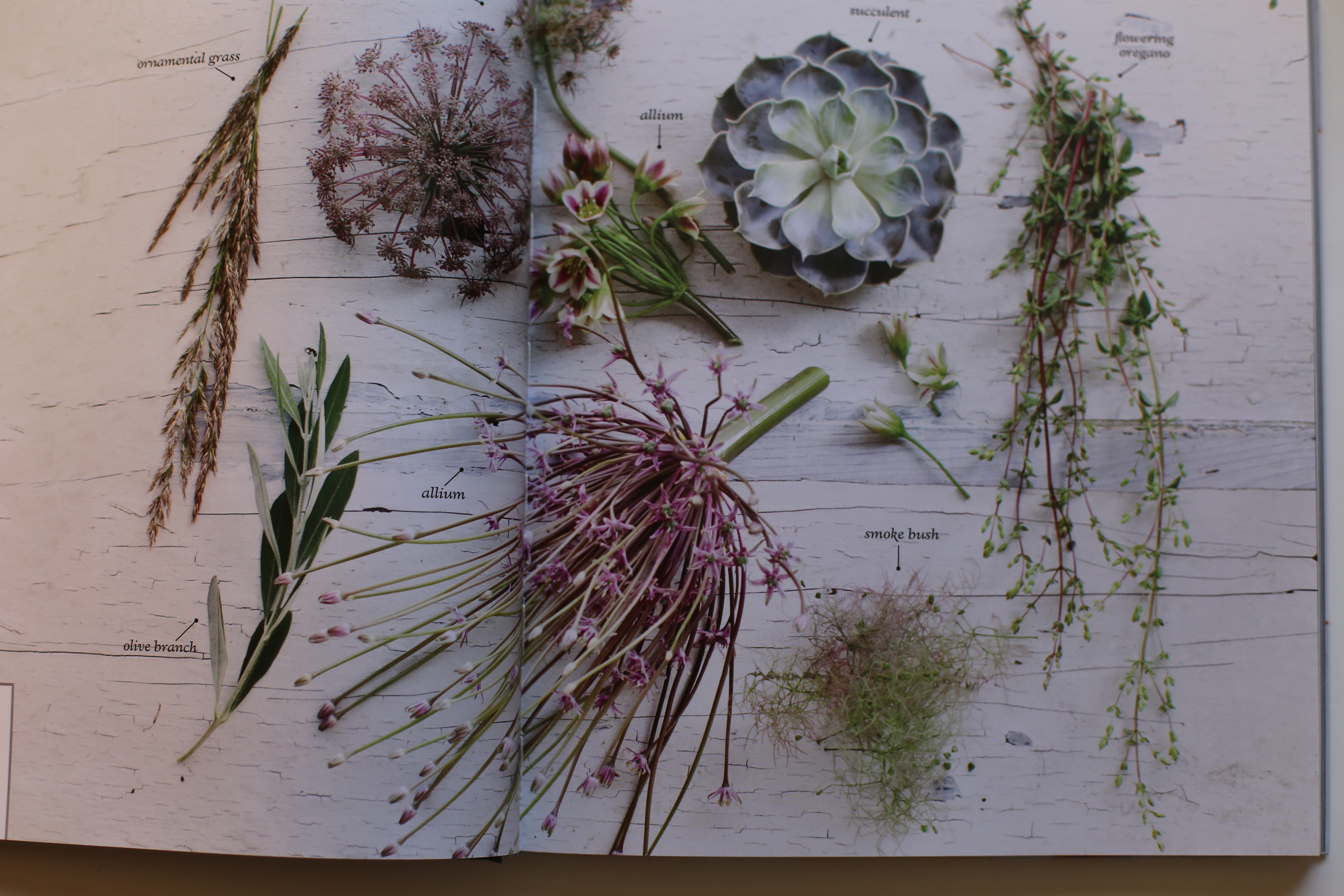 Dried Flower Heart Herbarium Mini Roses Flower Dried Florals by Christine  OMalley