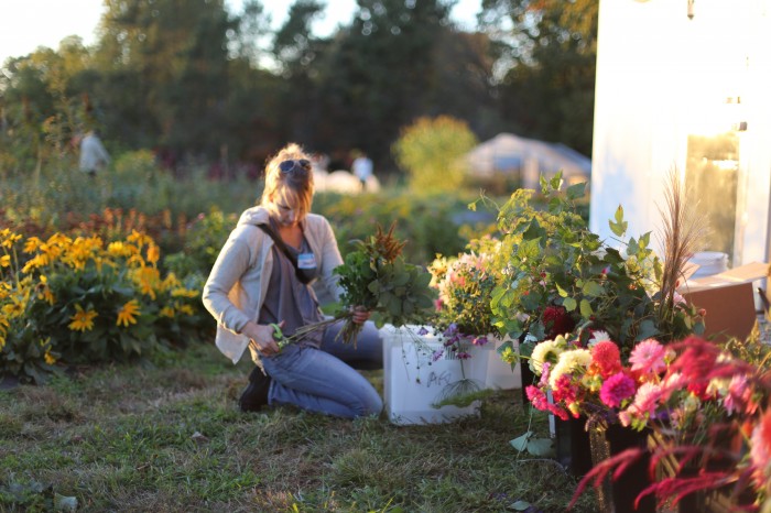 harvesting at Love N Fresh