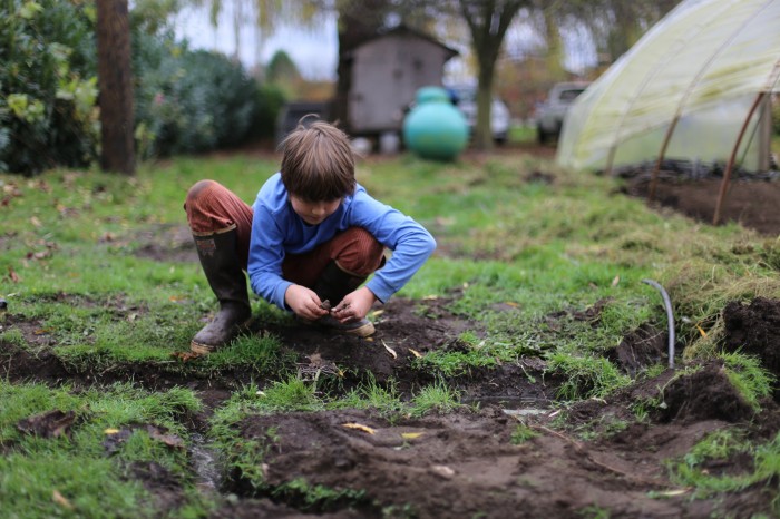 Jasper playing in the mud