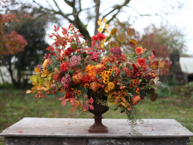 An orange flower arrangement