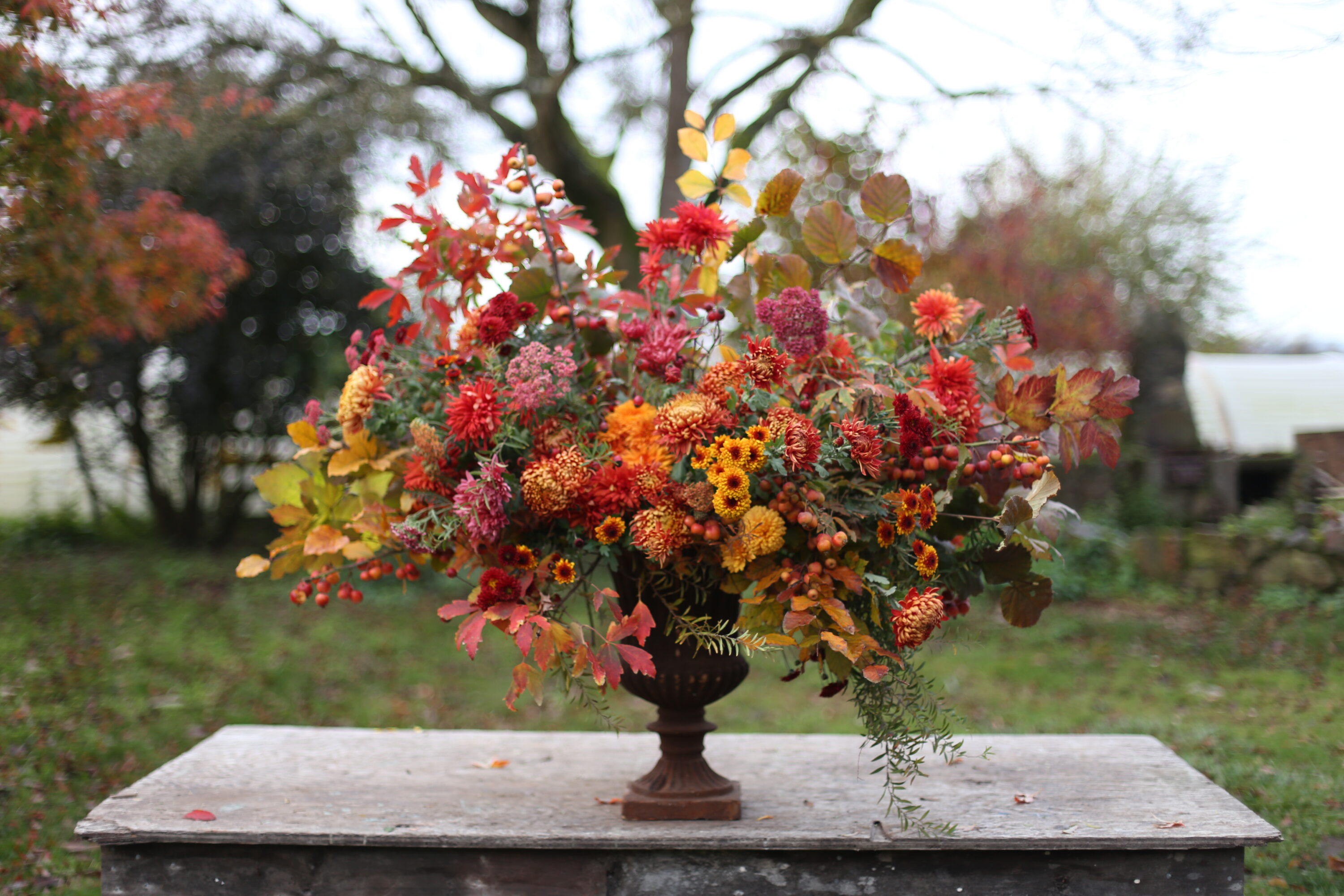 An orange flower arrangement