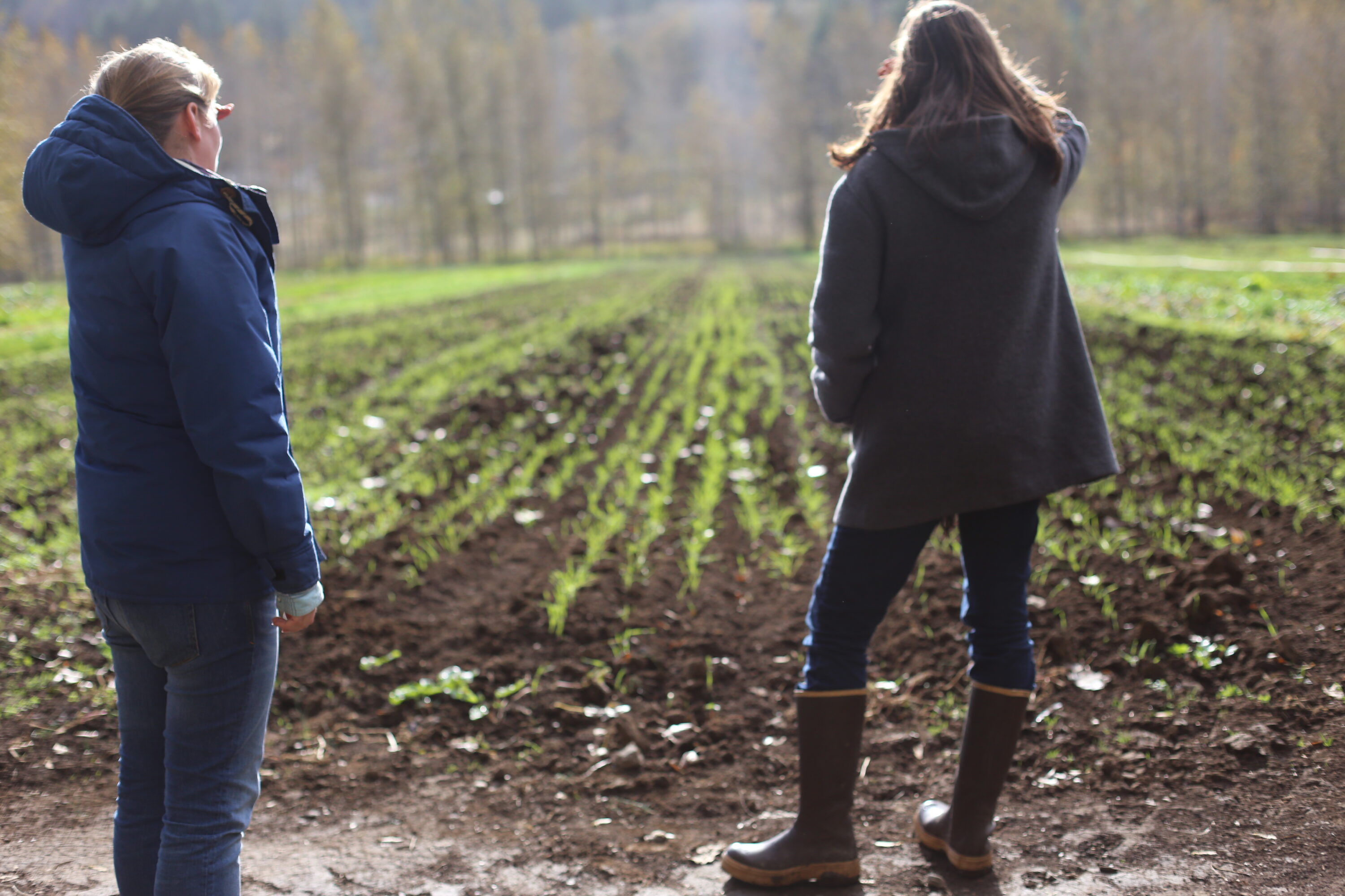 Two people looking out at a field