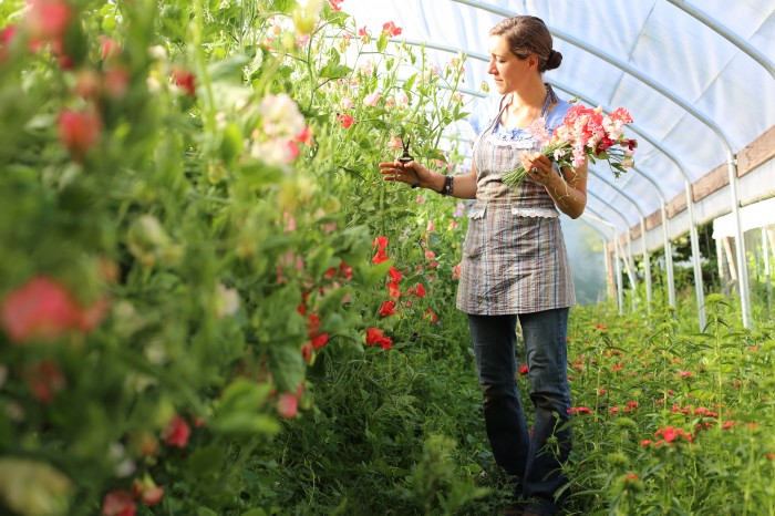 Floret Sweet Peas