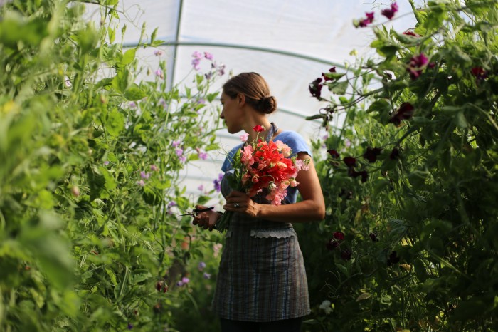 Floret Sweet Peas