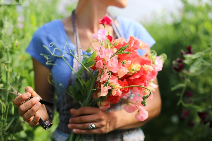 Floret Sweet Peas