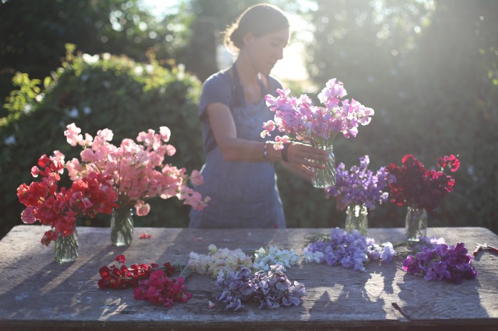 sweet pea sorting Floret