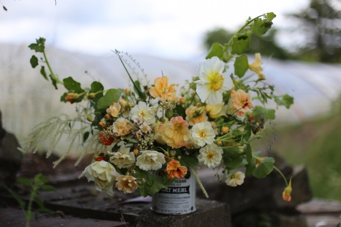 Bouquet includes: icelandic poppies, nasturtium 'gleam' vine and flowers, aruncus, thalictrum, rose 'ghislaine de feligonde' and forget me nots