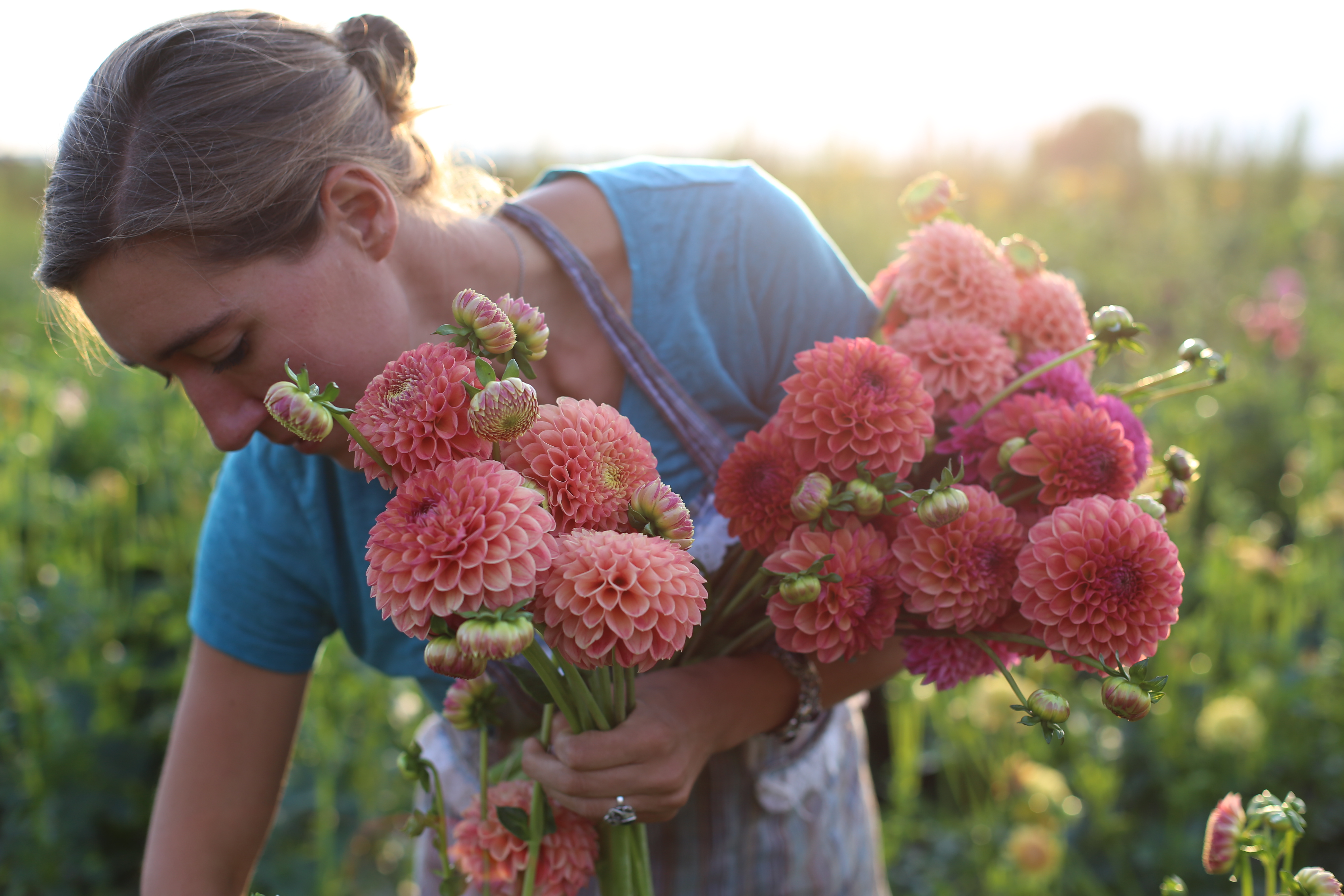 FLOWER FOCUS: Growing great Dahlias part 1 - Floret Flowers