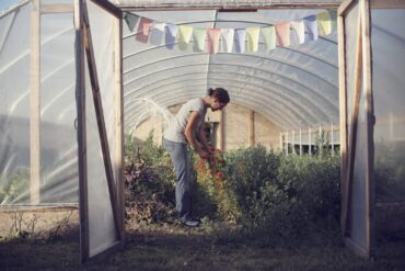 Erin Benzakein harvesting flowers in a greenhouse
