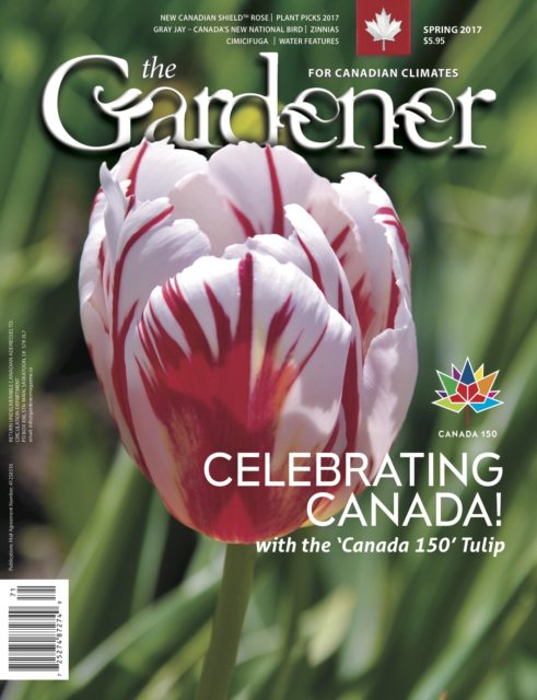 The Gardener Spring 2017 magazine cover