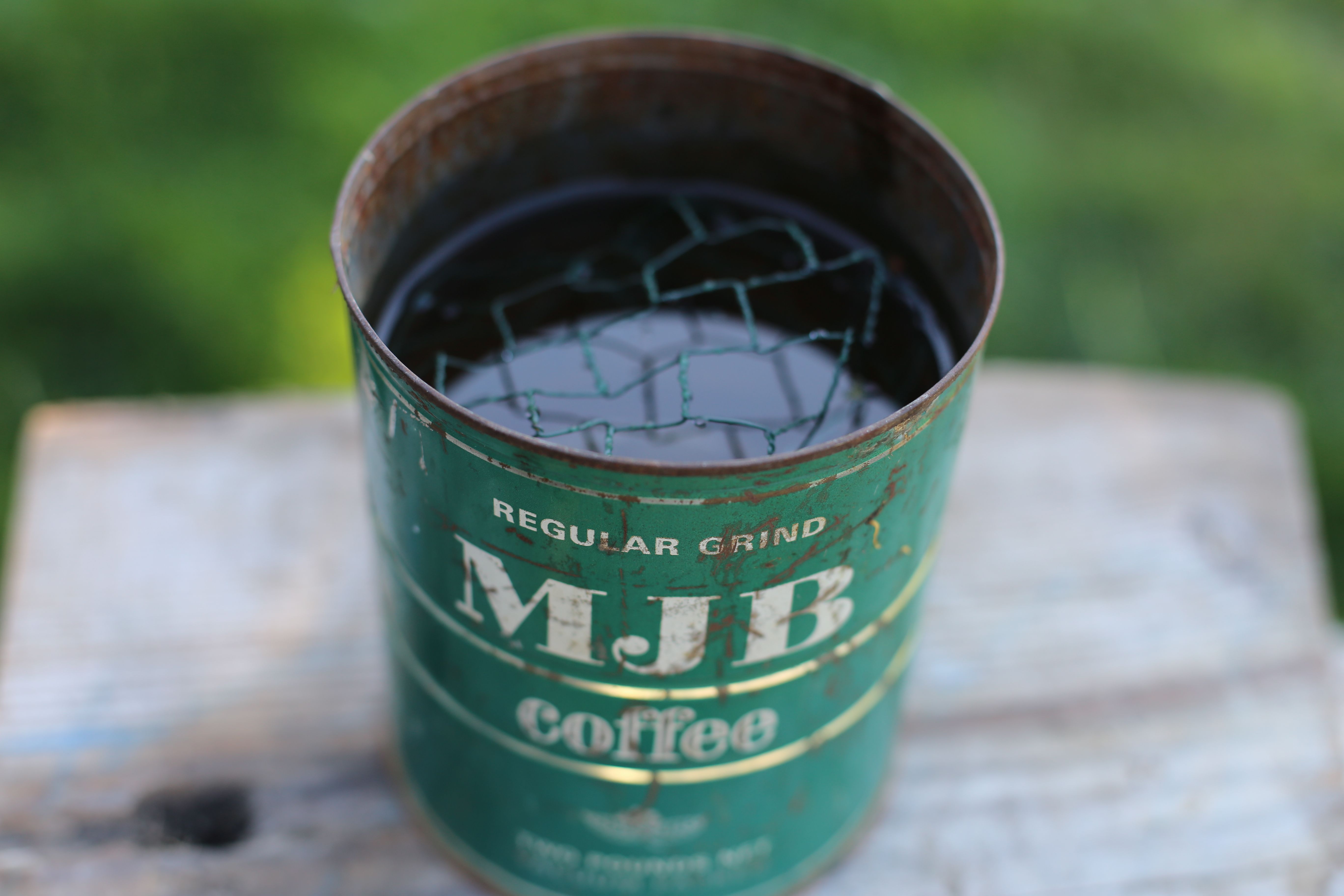 A coffee can filled with water and chicken wire