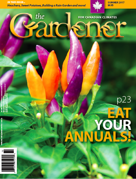 The Gardener Summer 2017 cover