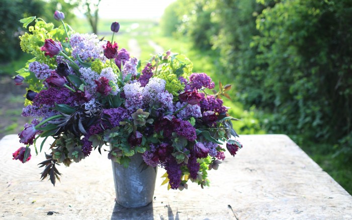 Bouquet includes: lilacs, snowball viburnum, euphorbia, black elderberry foliage, hellebores and black parrot tulips.
