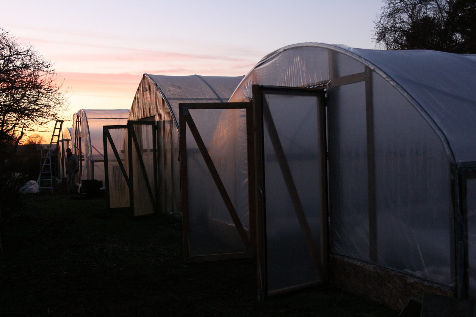 Greenhouses at sunset