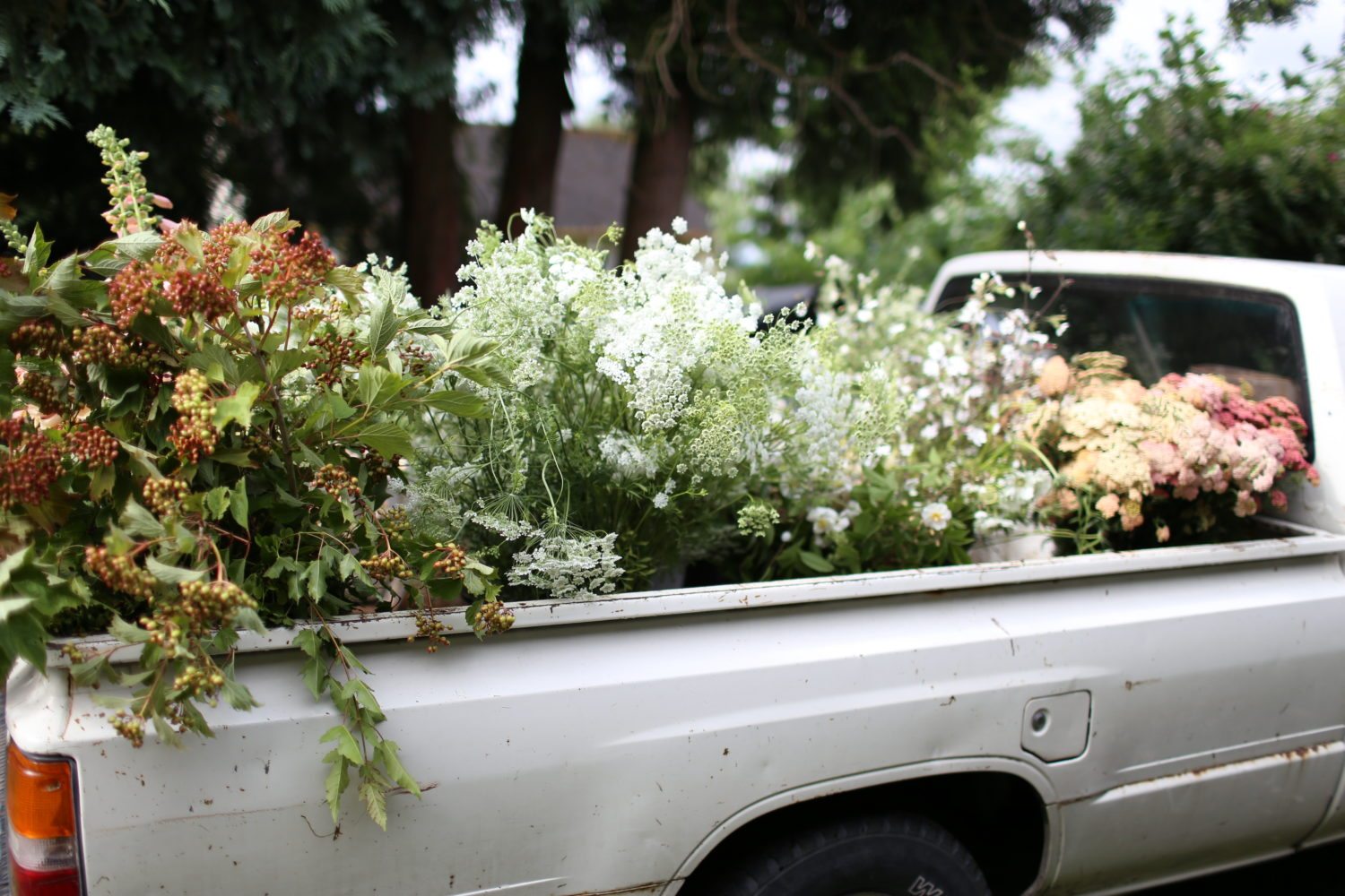 A pickup truck filled with flowers