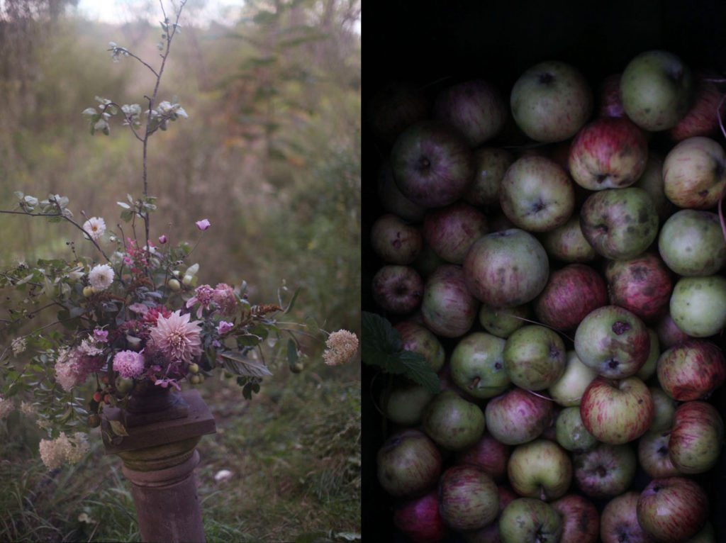 apples_dahlias