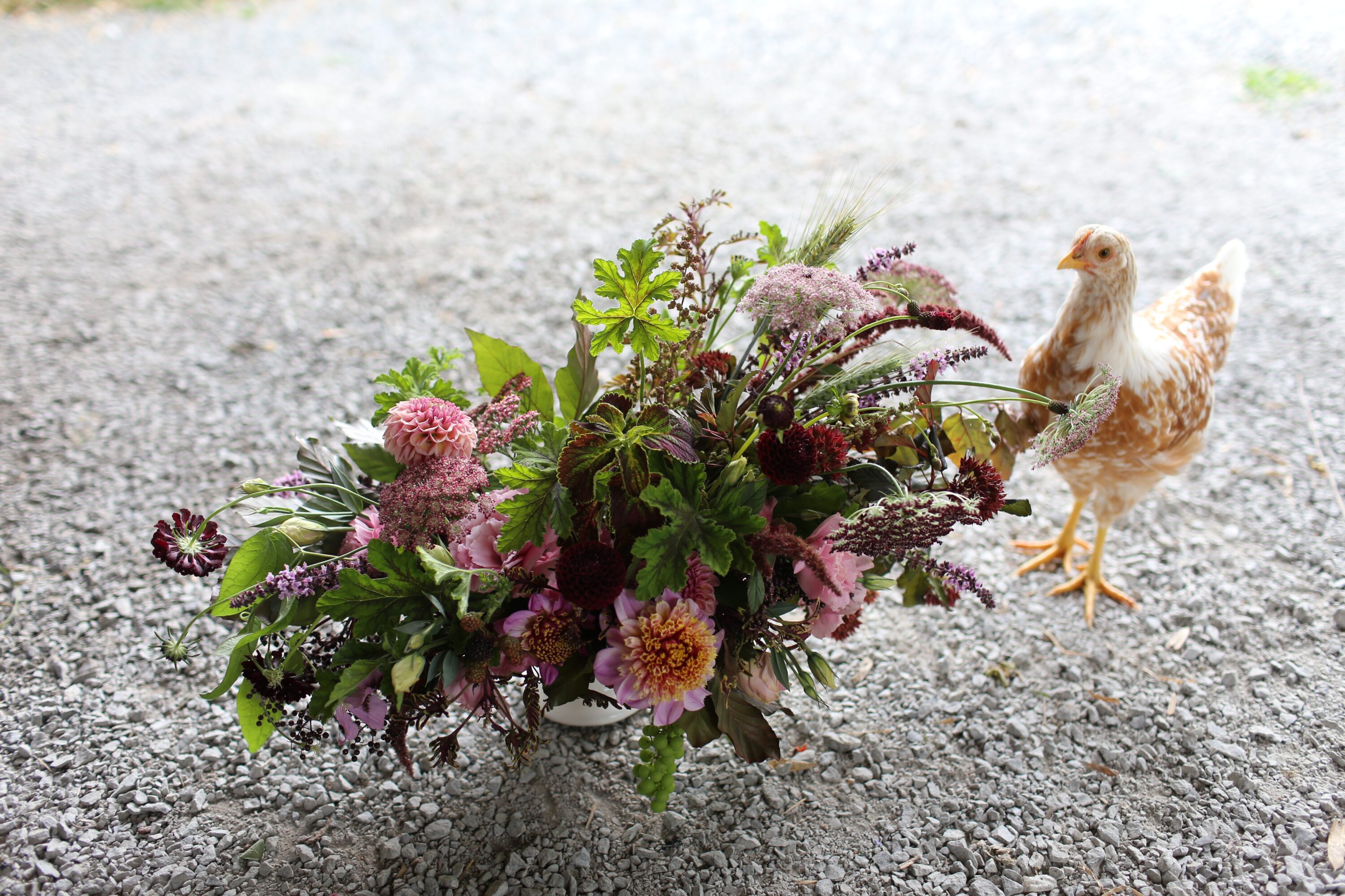 A chicken standing next to a flower arrangement