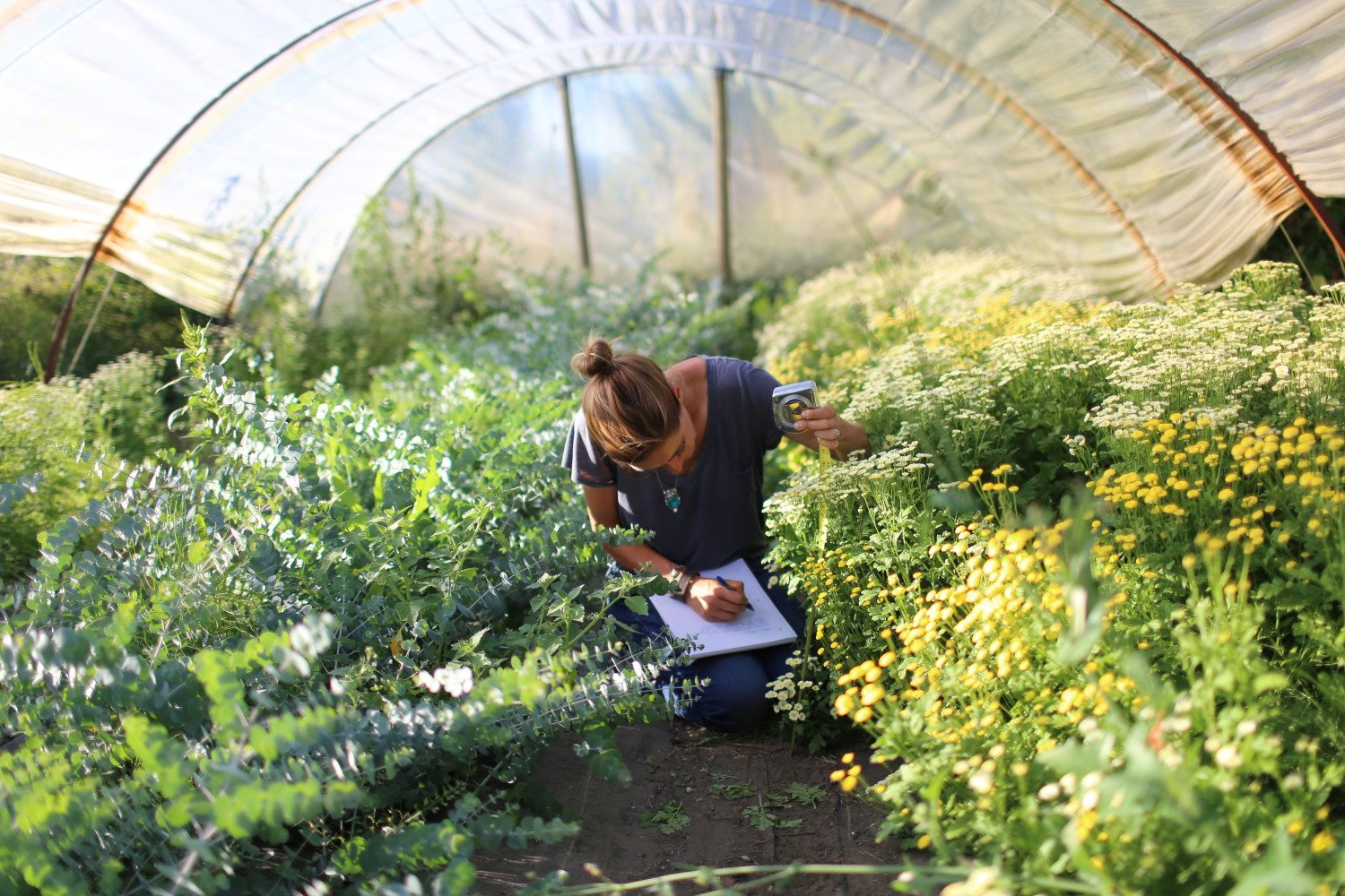 Erin Benzakein taking notes in a greenhouse