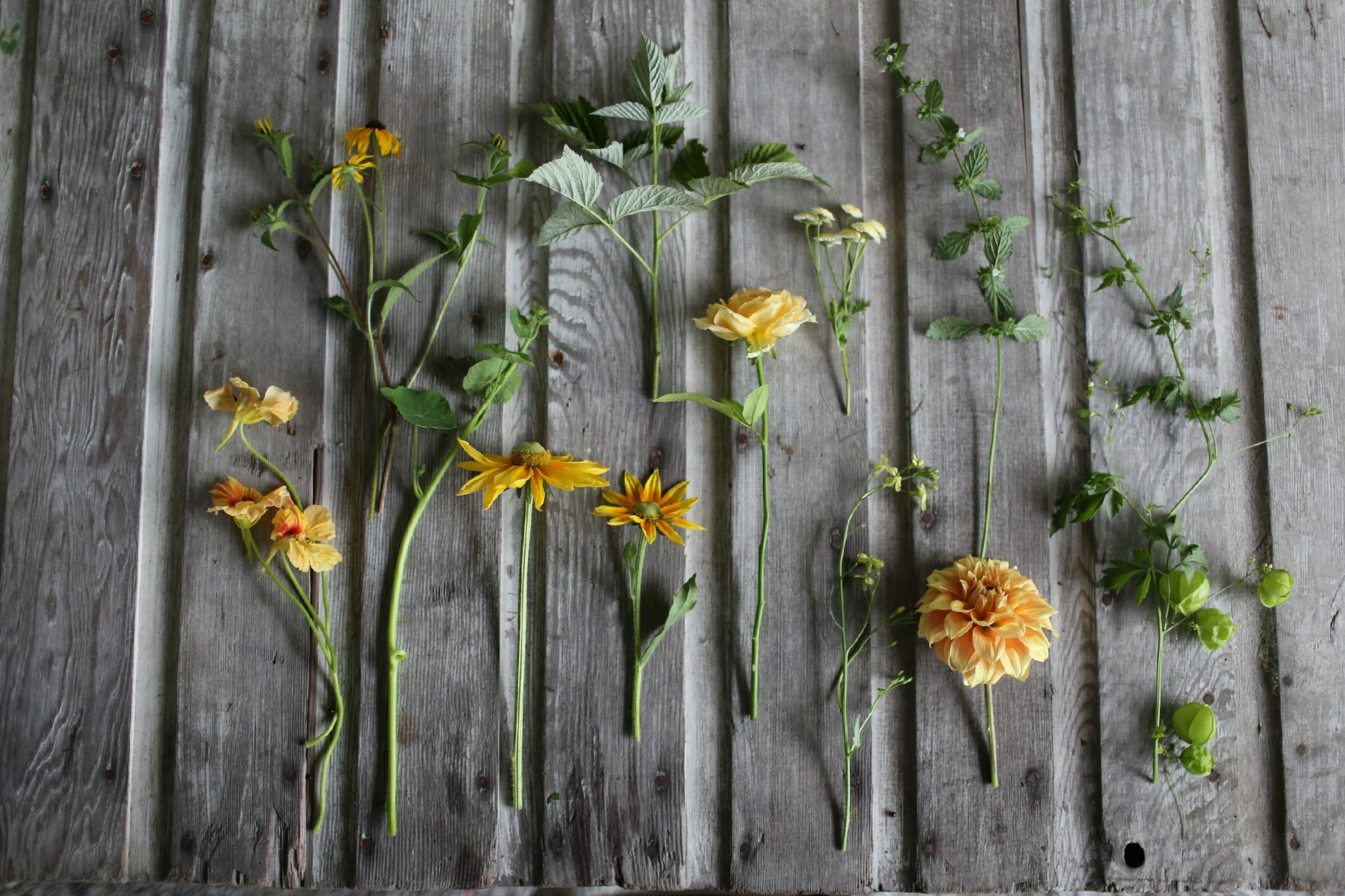 Flowers laid on a table