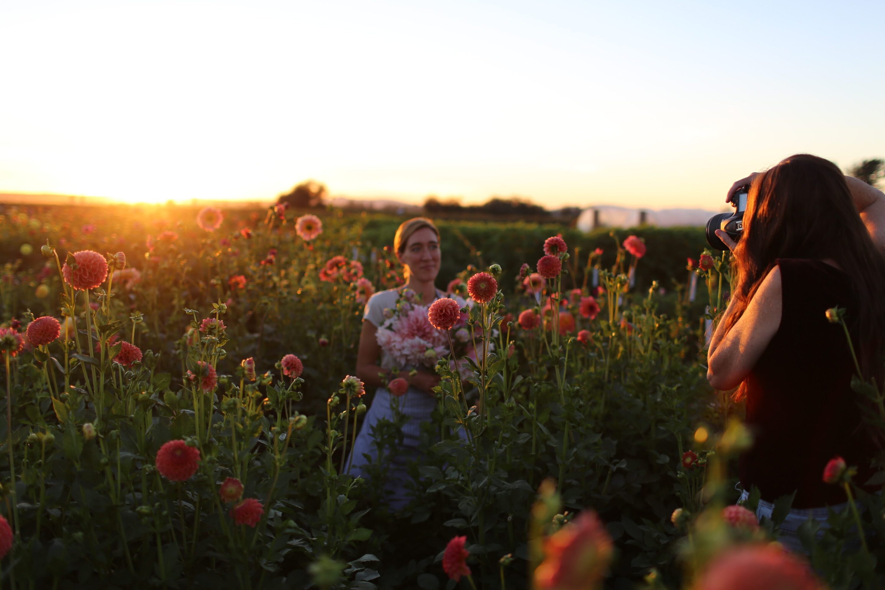 Erin Benzakein being photographed in a field of dahlias