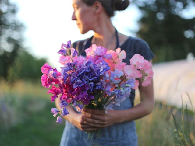 Erin Benzakein holding a bouquet of sweet peas