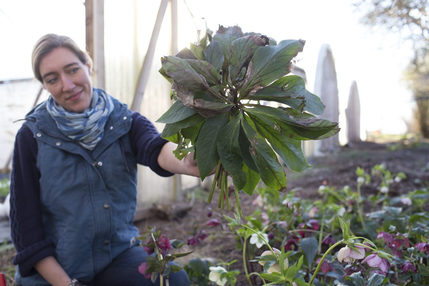 Erin Benzakein with a handful of crispy hellebore leaves