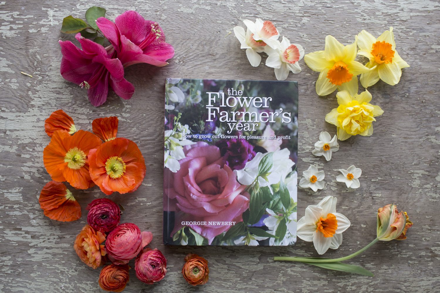 A book surrounded by flowers