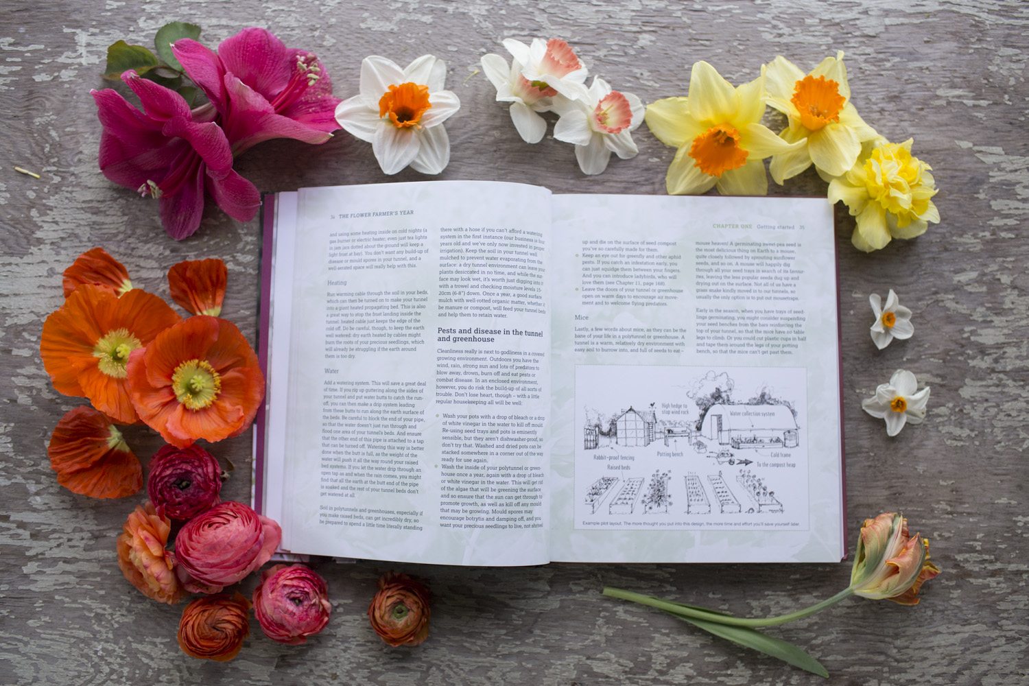 Book Review & Giveaway The Flower Farmer’s Year by Newbery