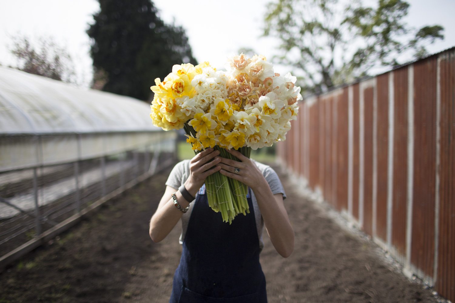 Erin Benzakein holding a bunch of daffodils