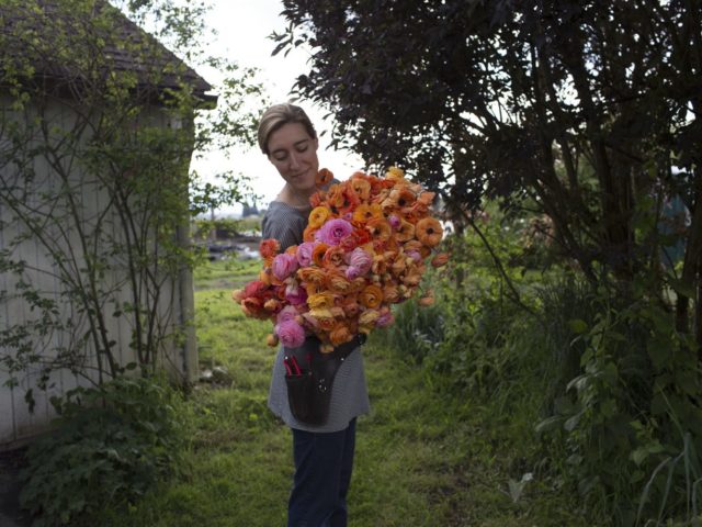 Erin Benzakein holding an armload of ranunculus