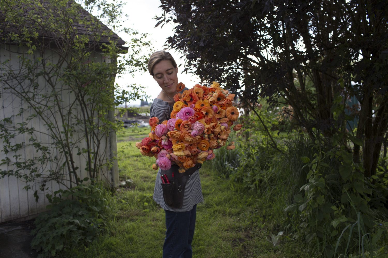 Erin Benzakein holding an armload of ranunculus