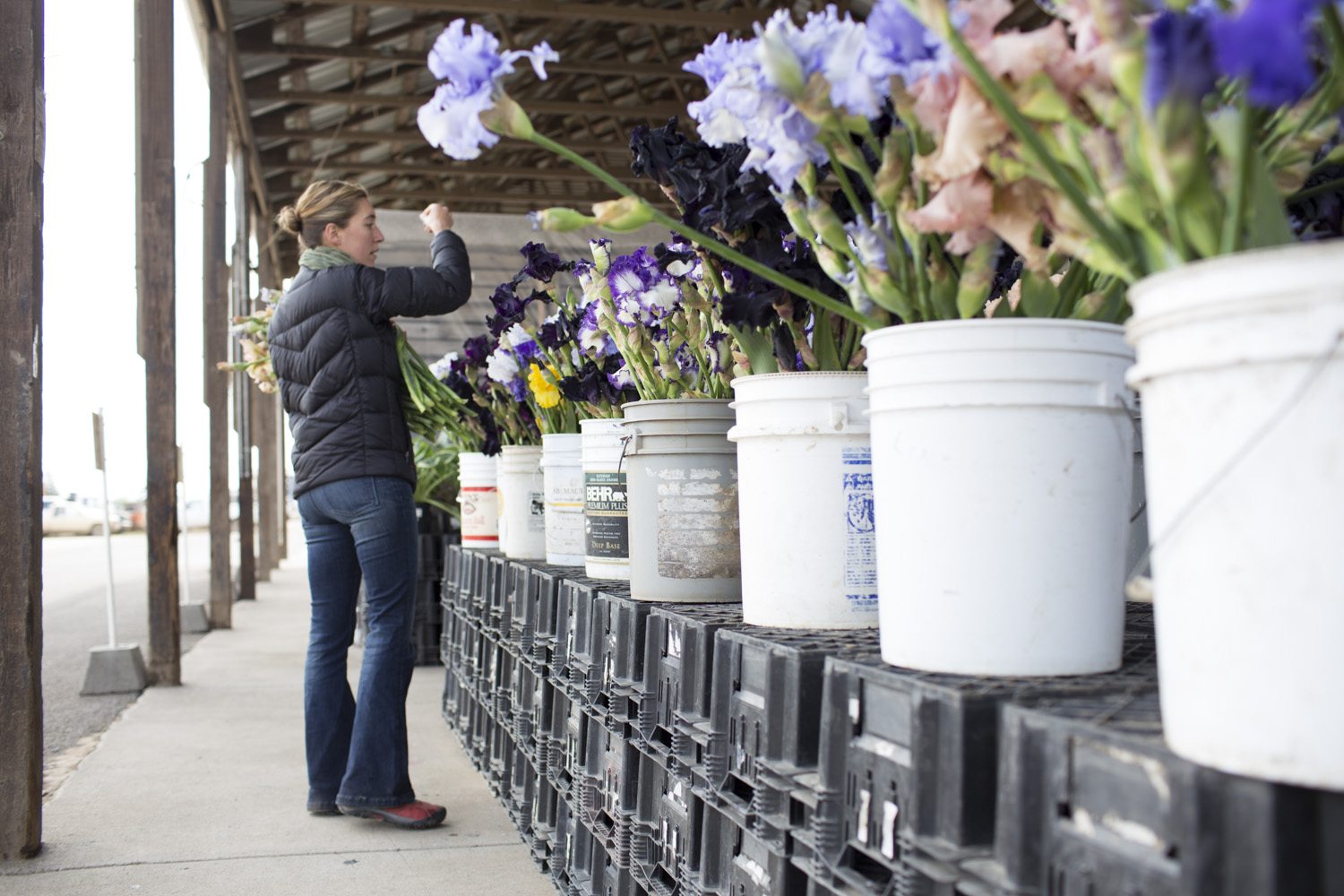 Oregon Flower Tour Floret Flowers