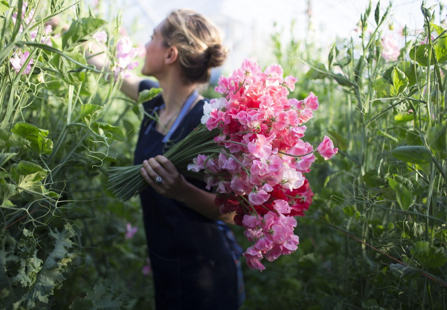 Spring Flower Farming Intensive II - Floret Flowers