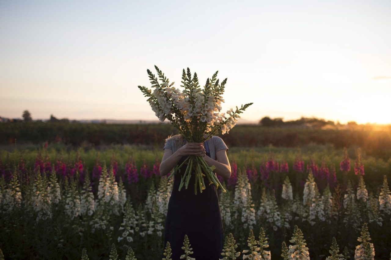 Erin Benzakein holding foxglove