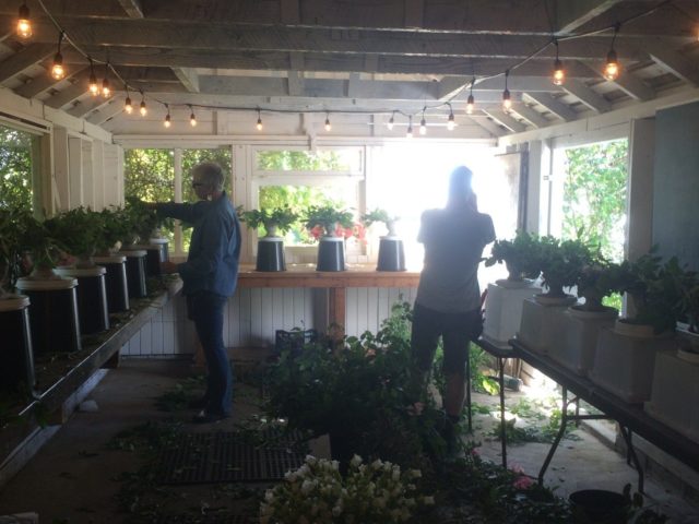 Erin Benzakein and Nina Foster arranging flowers for a wedding