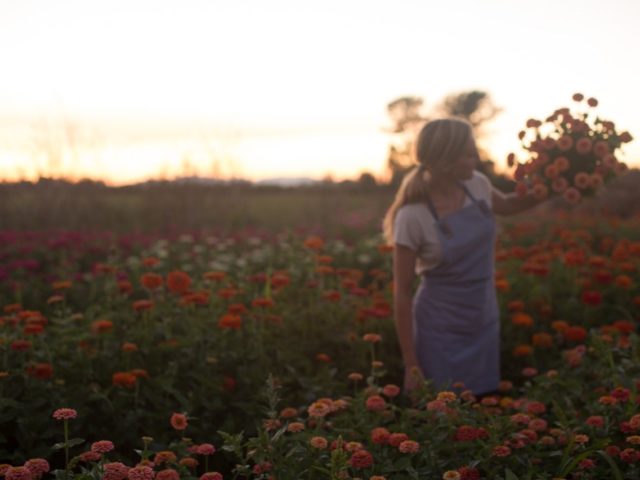 Erin Benzakein holding an armload of zinnias in the field