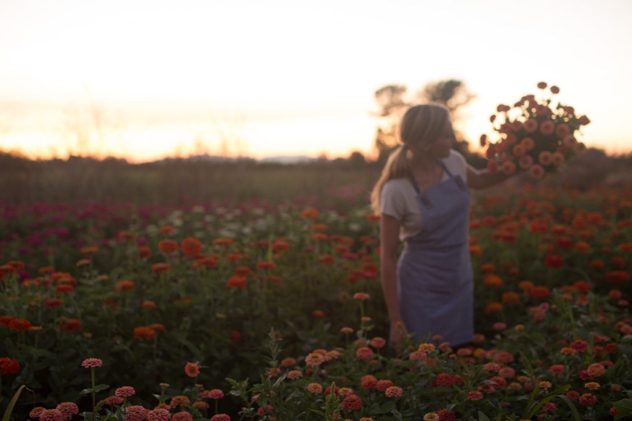 Erin Benzakein holding an armload of zinnias in the field