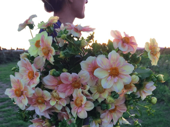 Erin Benzakein with an armload of dahlias