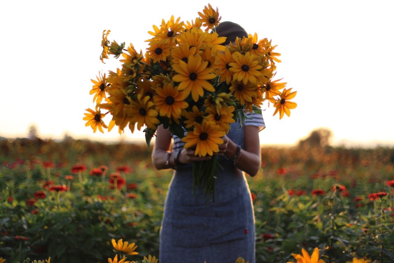 Erin Benzakein holding an armload of yellow flowers