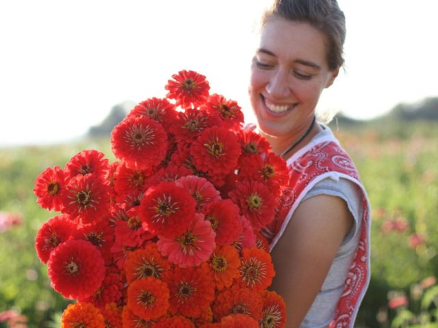 Erin Benzakein holding an armload of zinnias