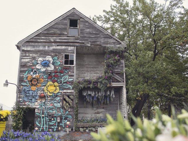 Flower House in Detroit