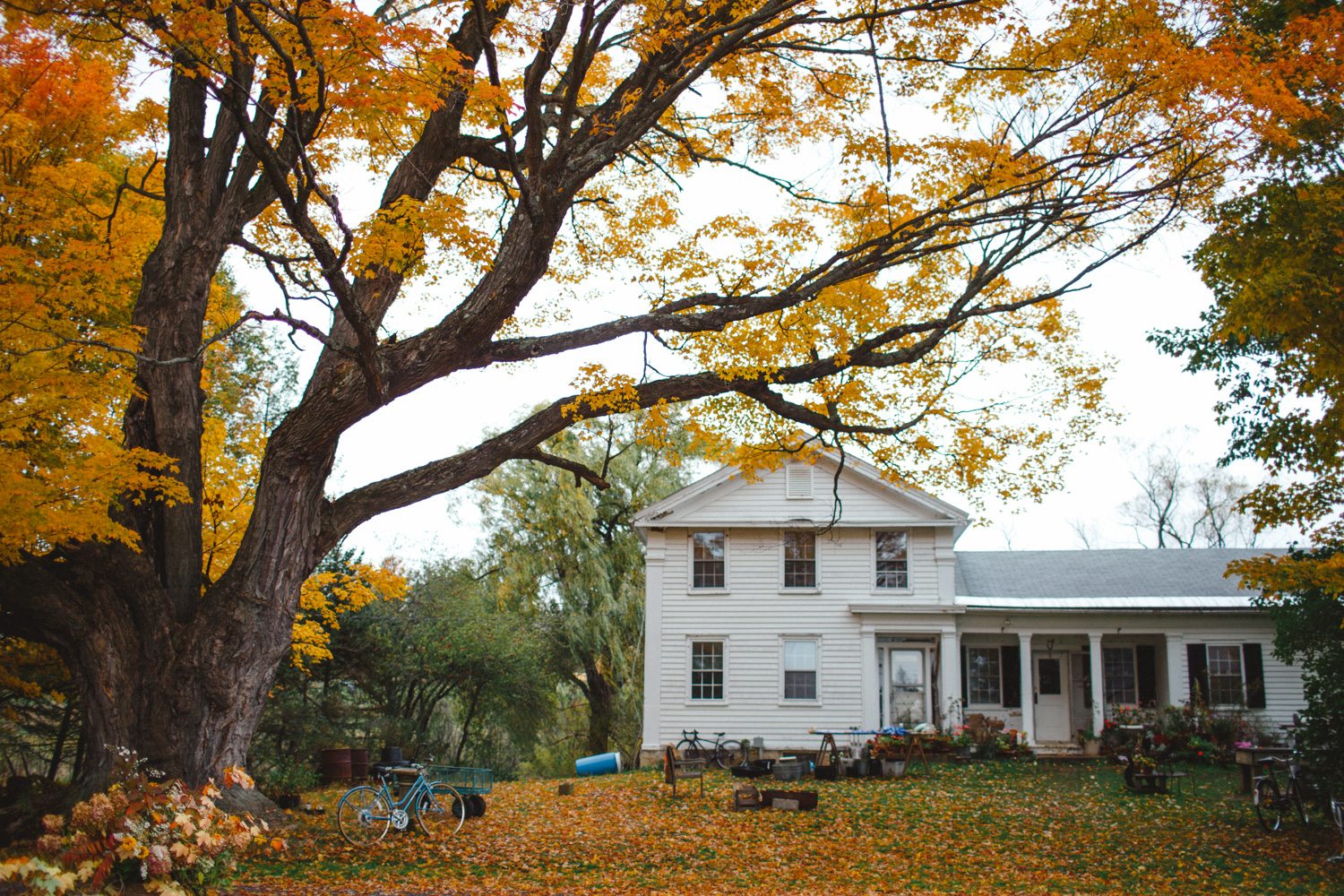 A Visit to World's End Farm Floret Flowers