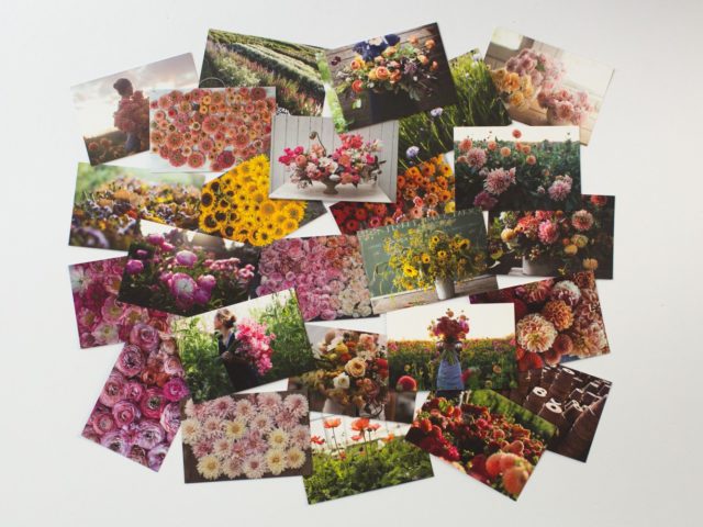 Floret postcards