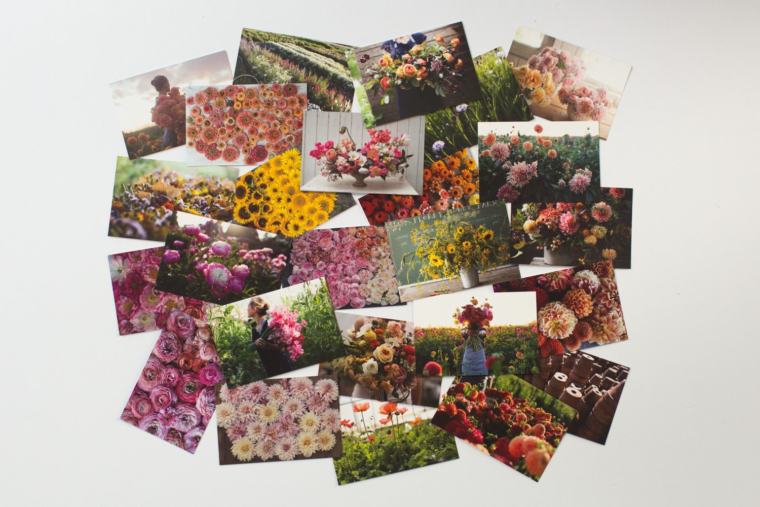 Floret postcards