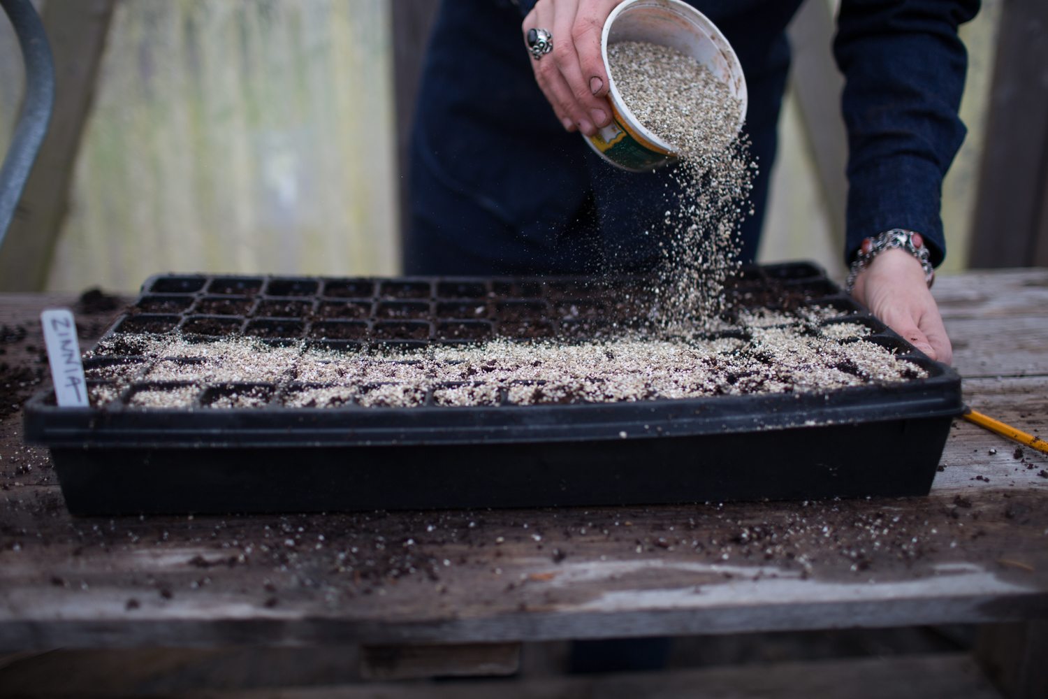 Pouring vermiculite over a seed tray