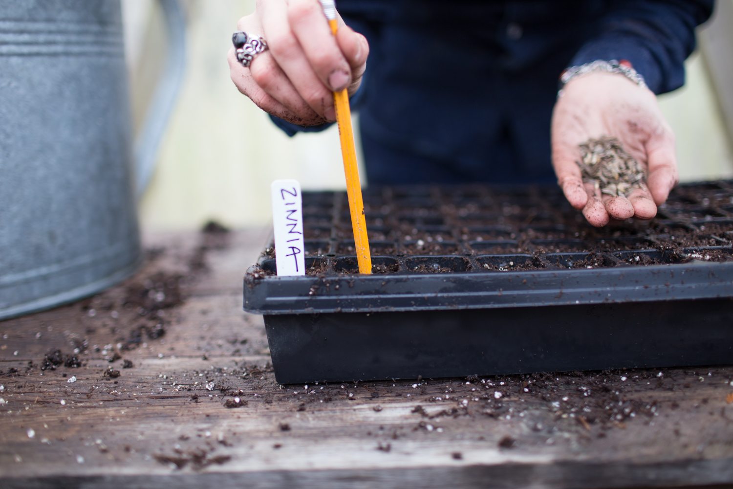 Poking holes in soil with a pencil