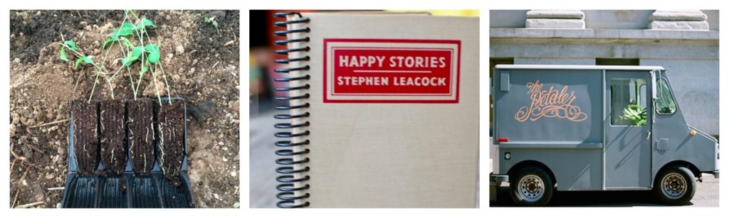Susans_holiday_picks